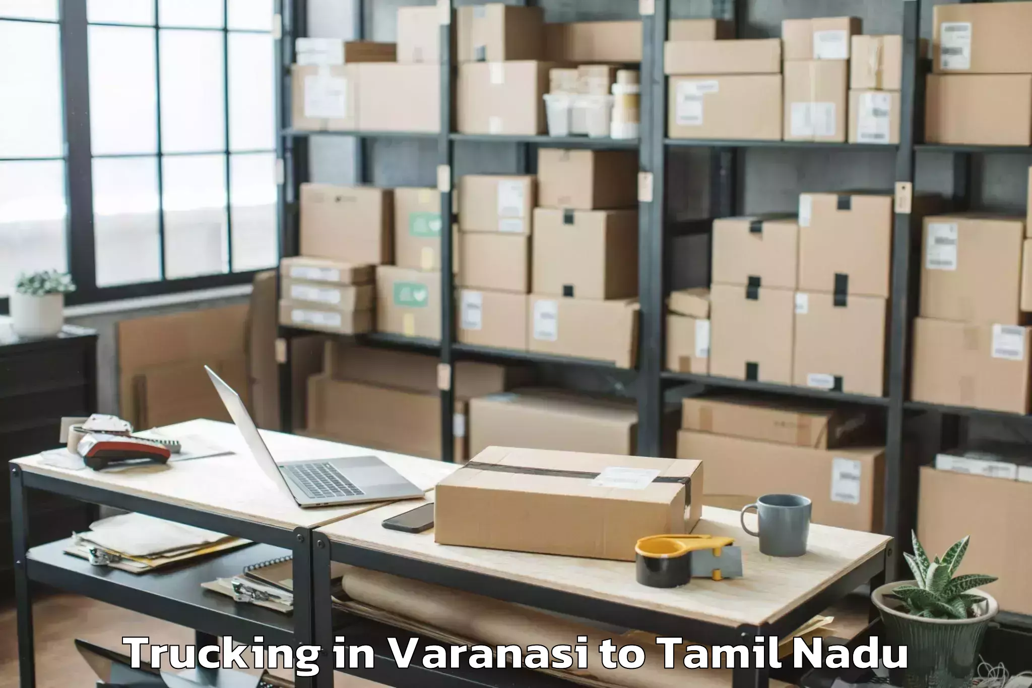 Professional Varanasi to Thiruporur Trucking